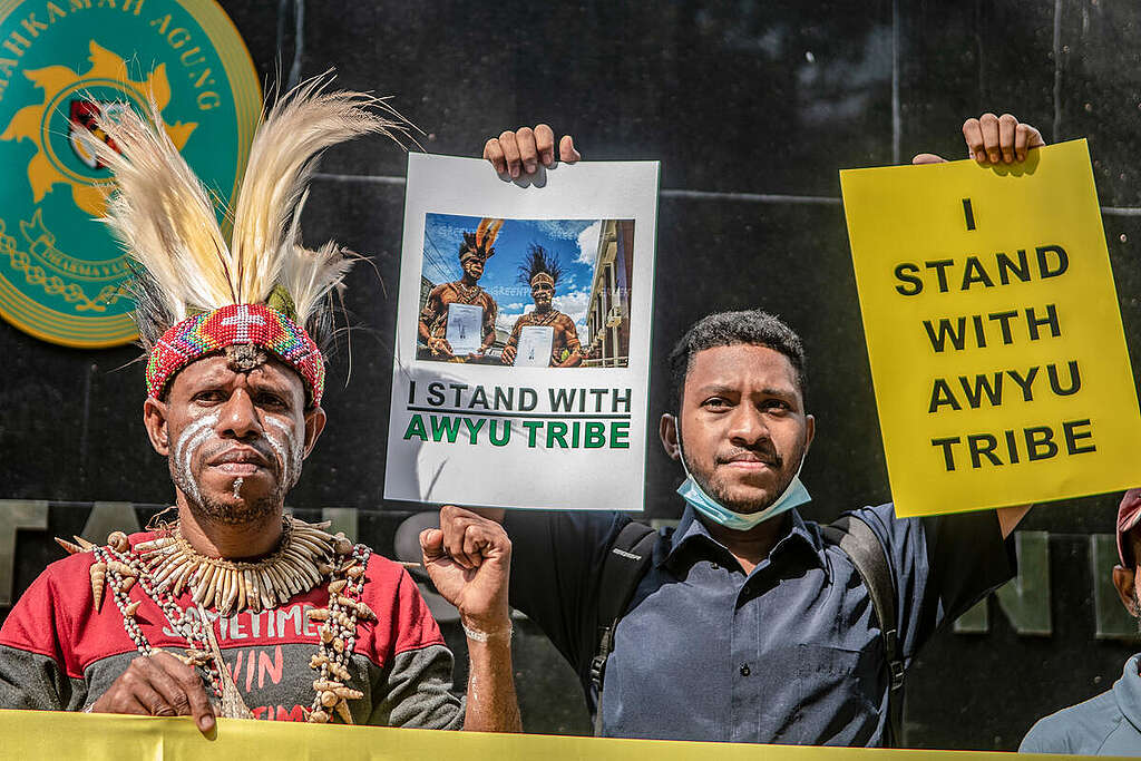 PTUN Jakarta Tolak Gugatan Perusahaan Sawit, 65.415 Hektare Hutan Kembali ke Masyarakat Suku Awyu Papua Selatan