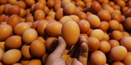 Presiden Setujui Bantuan Pangan Telur dan Ayam untuk 1,4 Juta Keluarga Rentan Stunting