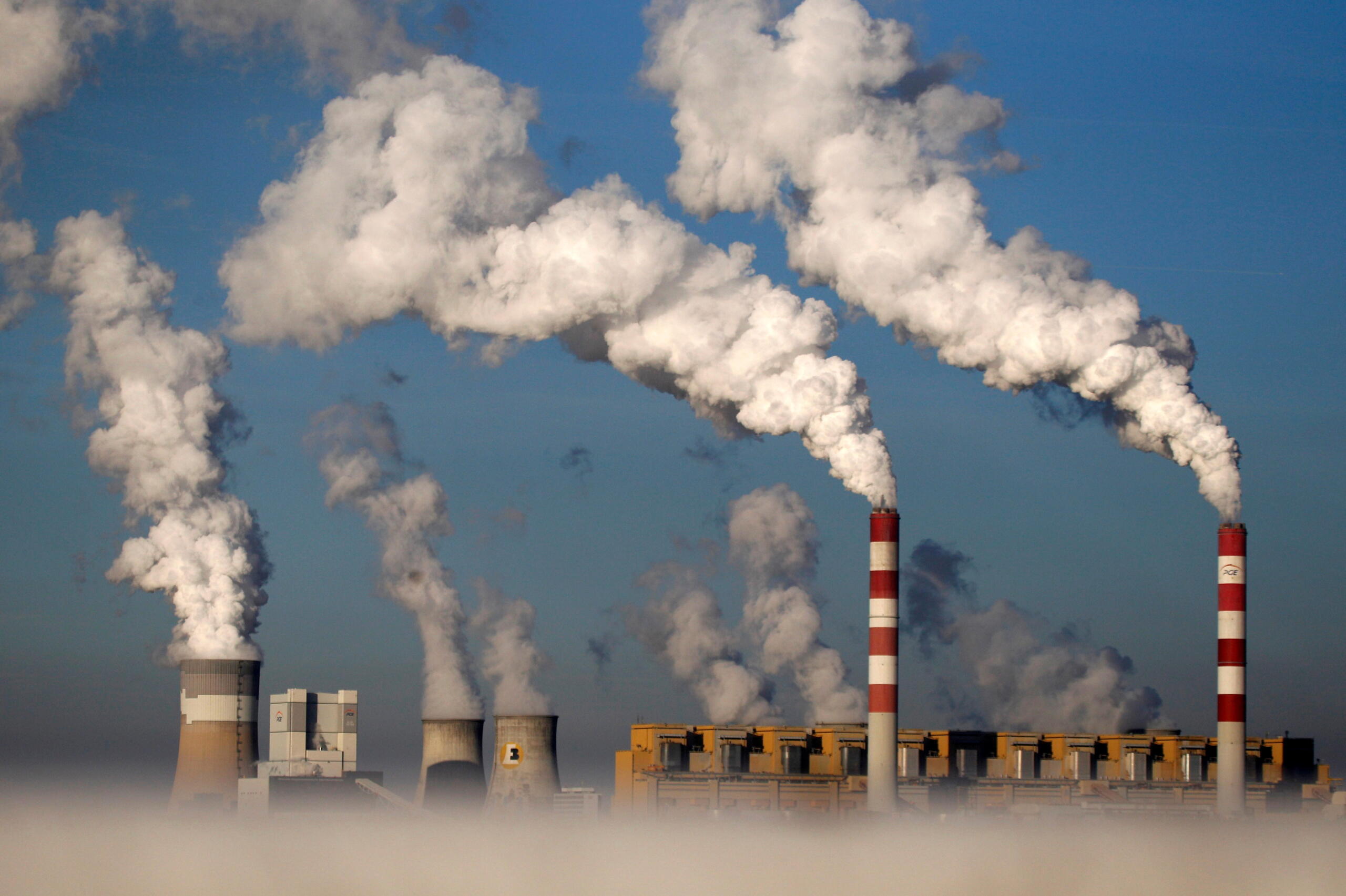 WTO Bentuk Gugus Tugas untuk Menentukan Harga Karbon Global
