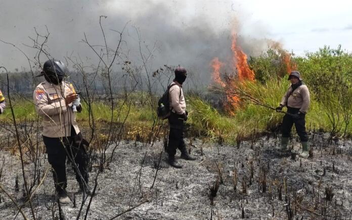 Kebakaran di Taman Nasional Way Kambas Diduga Sengaja Dilakukan oleh Pemburu Hewan