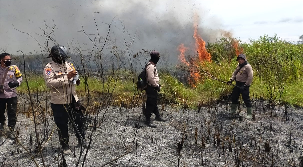 Kebakaran di Taman Nasional Way Kambas Diduga Sengaja Dilakukan oleh Pemburu Hewan