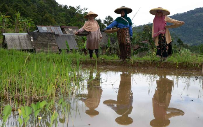 Para perempuan adat (Foto: Kemitraan)