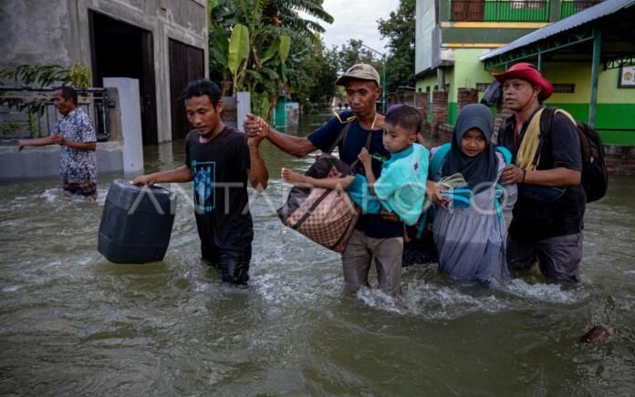 Banjir di Demak (Foto: Antara)