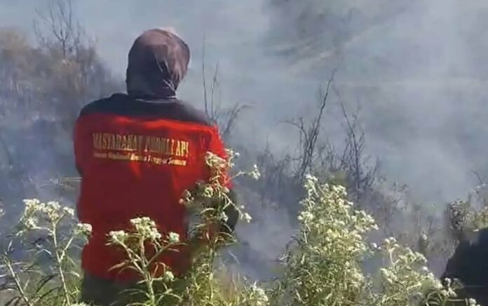 Kebakaran Bromo