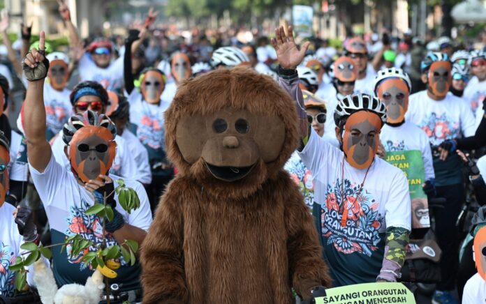 Satya Bumi Gelar Aksi Sepeda untuk Kampanye Perlindungan Orangutan