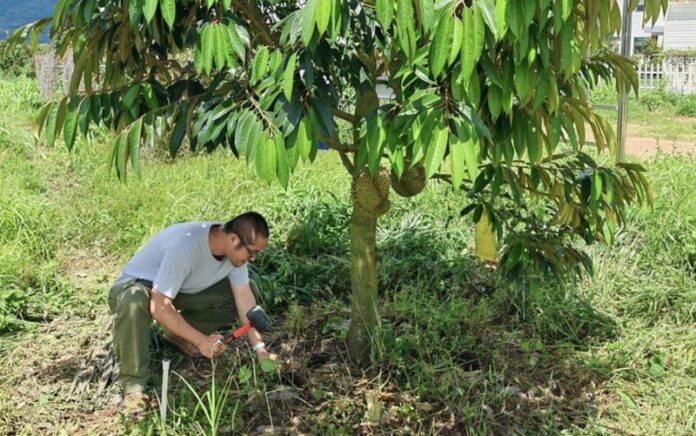 Sertifikasi Emisi Karbon