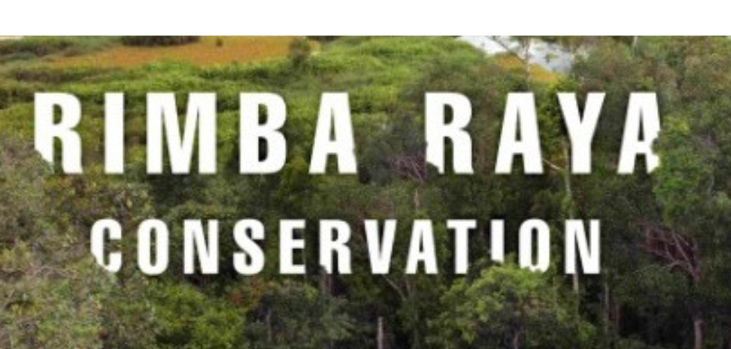 PT. Rimba Raya Conservation Siap Hadapi Banding Menteri LHK terkait Pencabutan Izin Usaha