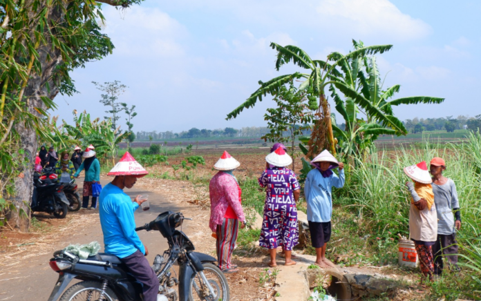 Petani Pundenrejo