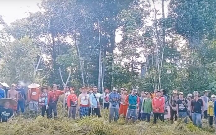 Pernyataan Sikap Pemuda Adat Dusun Kucai Desa Labai Hilir untuk Melindungi Areal Berhutan