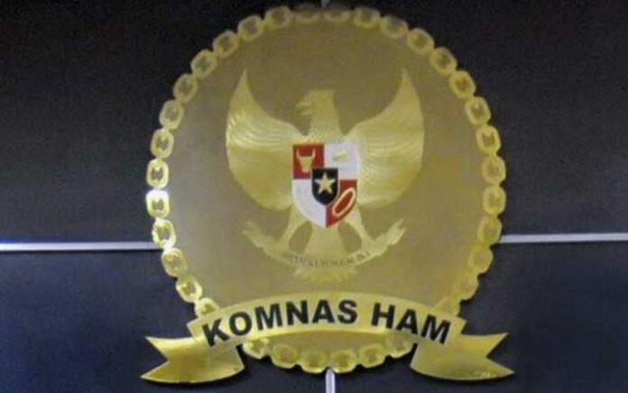 Komnas HAM Kasus Vina