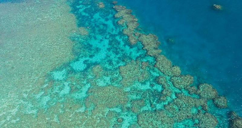 Great Barrier Reef