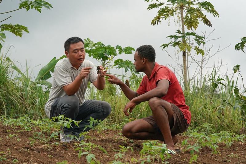 Petani Sao Tome