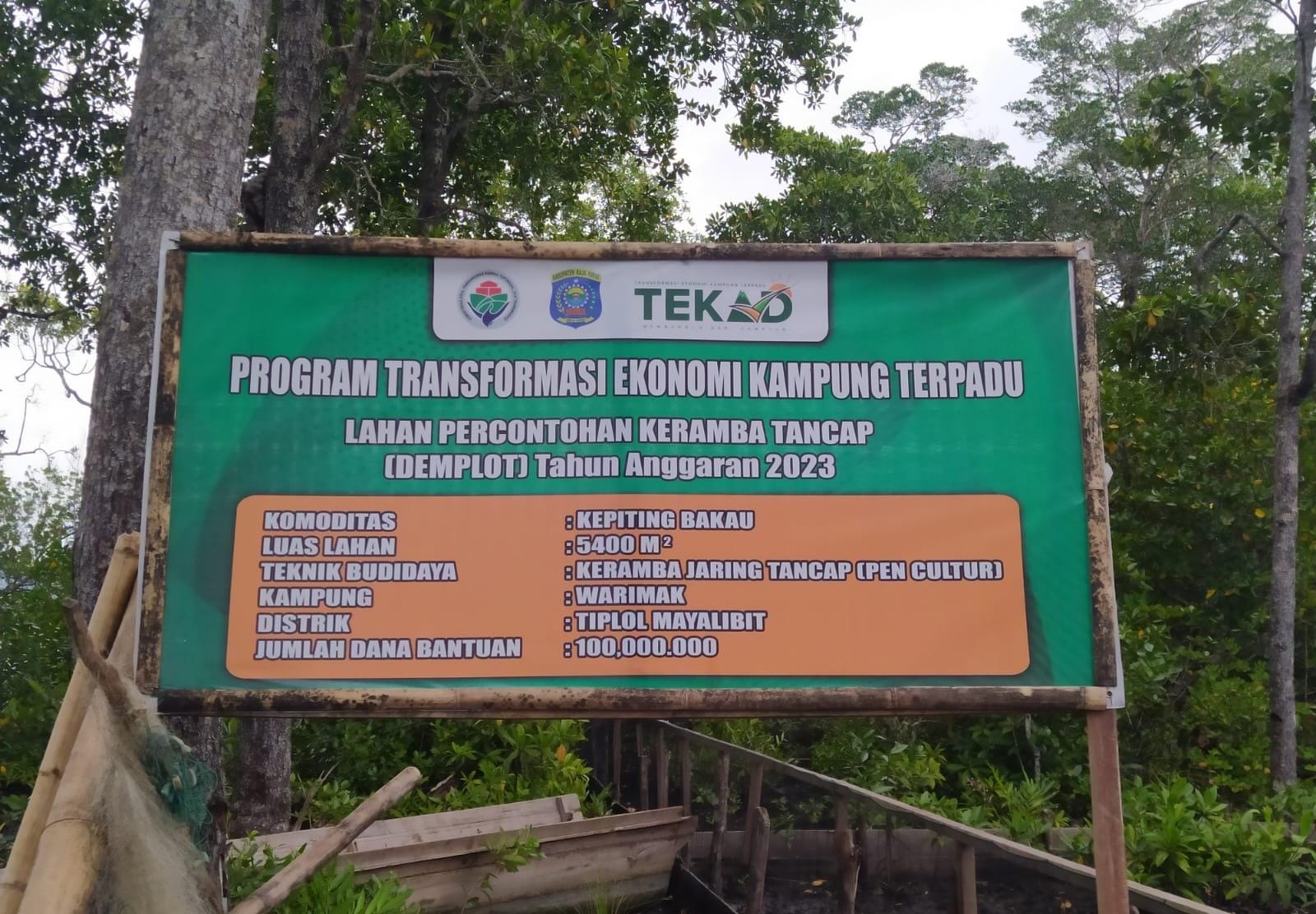 Tingkatkan Ekonomi Kampung, Program TEKAD Dorong Masyarakat Warimak Kembangkan Budidaya Kepiting Bakau