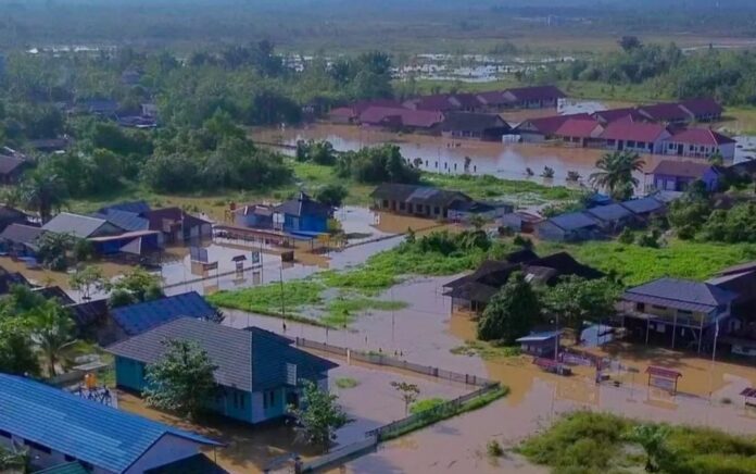 Banjir Parah di Kalimantan Tengah, WALHI Desak Evaluasi Deforestasi