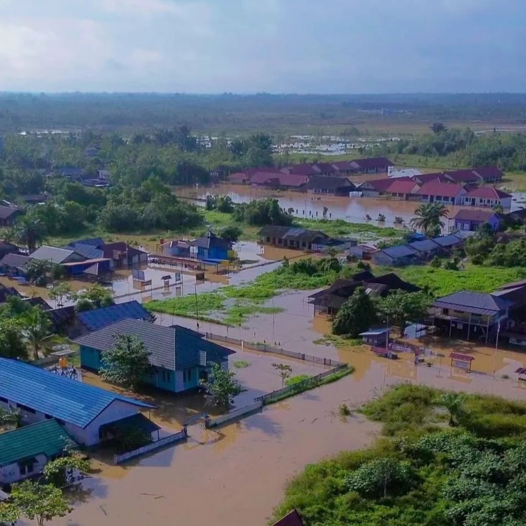 Banjir Parah di Kalimantan Tengah, WALHI Desak Evaluasi Deforestasi