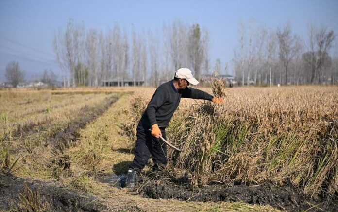 Ilmuwan China