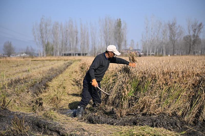 Ilmuwan China